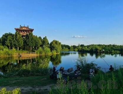 国产av剧情md精品麻豆-优秀国产伴侣小白片，解锁情感新体验的精选集锦