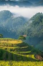 麻豆文化传媒免费观看-麻豆文化传媒，网络的新生力量